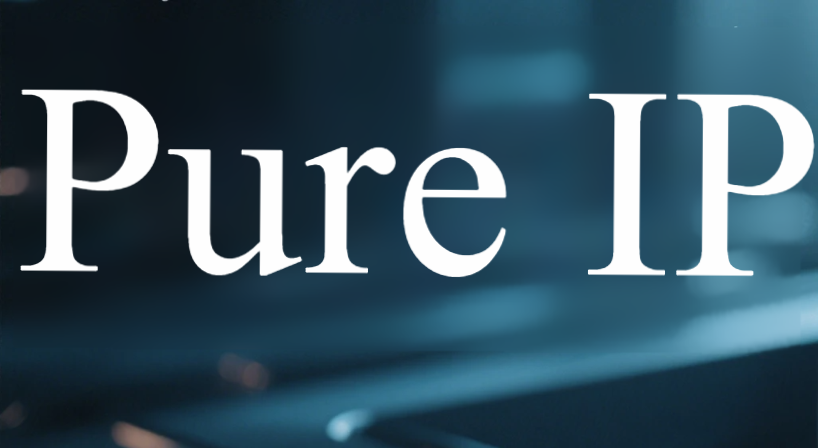 Pure IP: The Core Cornerstone of Cross-Border Business Security and Efficiency Pure IP: The Core Cornerstone of Cross-Border Business Security and Efficiency
