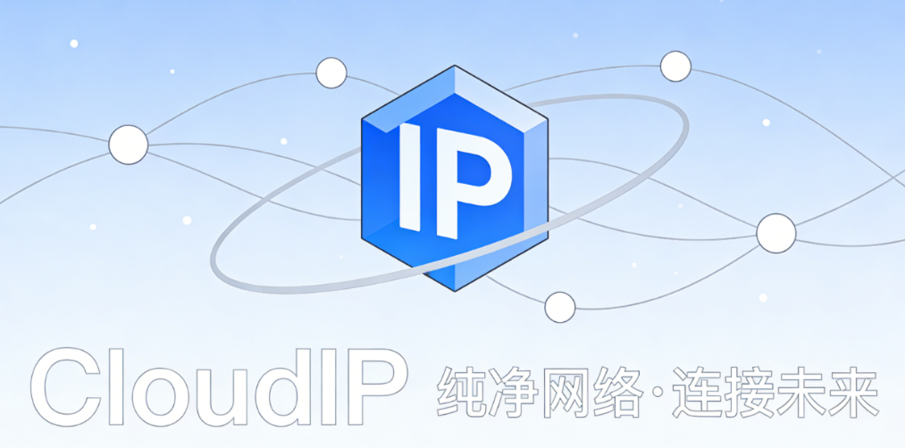从 “能用” 到 “好用”：纯净 IP 如何重构企业全球网络体系