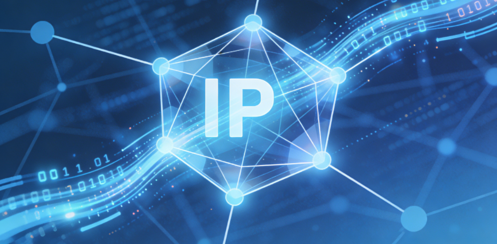 90% 的跨境踩坑都源于 IP，纯净 IP 如何帮你避开 99% 的风控