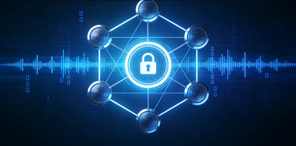 一店一固定 IP：跨境电商账号安全的黄金法则