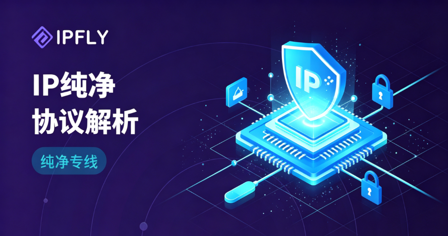 什么是纯净IP？如何判断你的代理IP是否具备高纯净度？