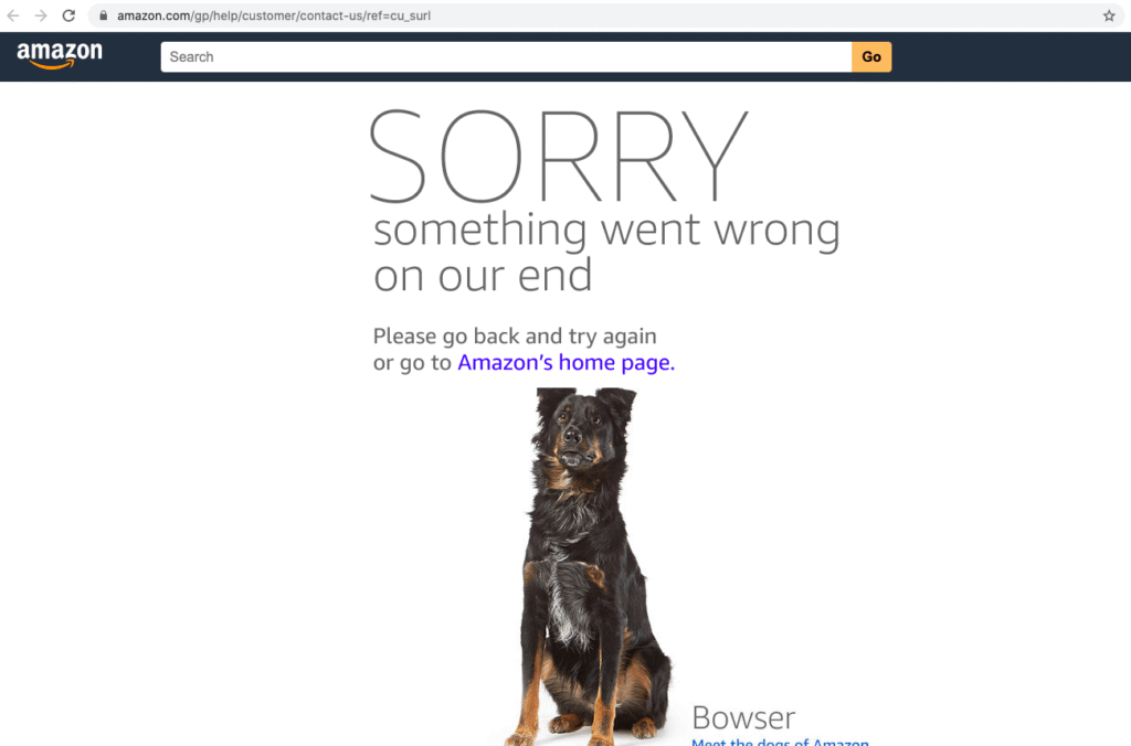 Amazon Keeps Saying Something Went Wrong on Our End: Causes and Fixes